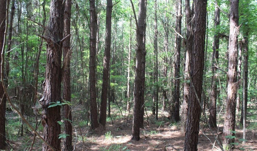 Highway 550 NW, Brookhaven, MS 39601 - 0 Beds, 0 Bath