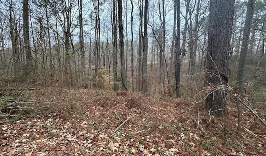 1089 Damascus Dr, Ball Ground, GA 30107 - 0 Beds, 0 Bath