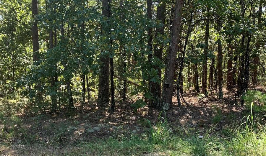 11 Alegria Way, Hot Springs Village, AR 71909 - 0 Beds, 0 Bath