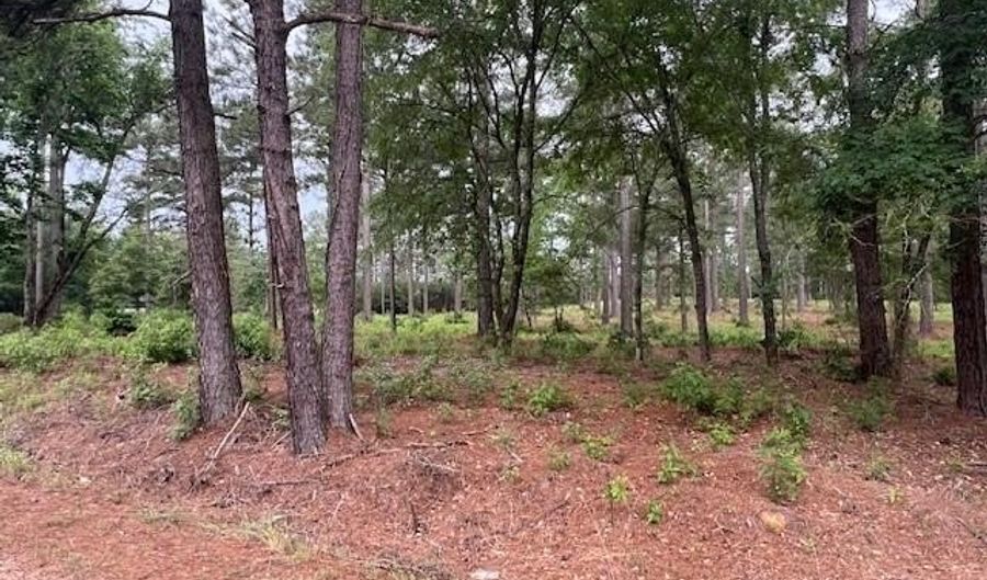 2 N 4140 Rd, Antlers, OK 74523 - 0 Beds, 0 Bath