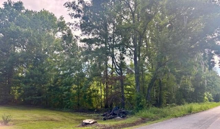 8946 Anderson Rd, Adams Run, SC 29426 - 0 Beds, 0 Bath