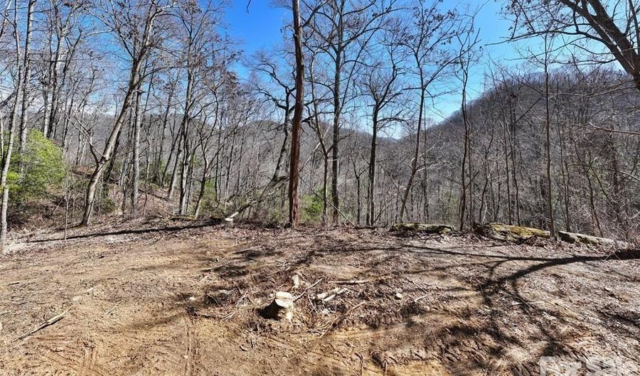 99999 Green Ridge Falls Rd 17, Barnardsville, NC 28709 - 0 Beds, 0 Bath