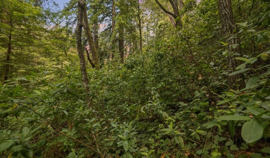 Lot 02 Cathedral DR, Aptos, CA 95003 - 0 Beds, 0 Bath