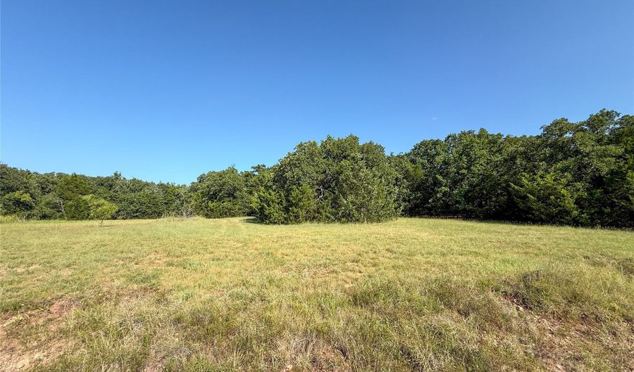 FM 1655 Trail, Alvord, TX 76225 - 0 Beds, 0 Bath