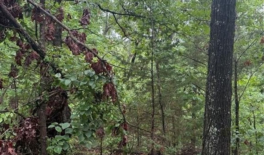 Lot 7 Block 5 Banff DR, Bella Vista, AR 72715 - 0 Beds, 0 Bath
