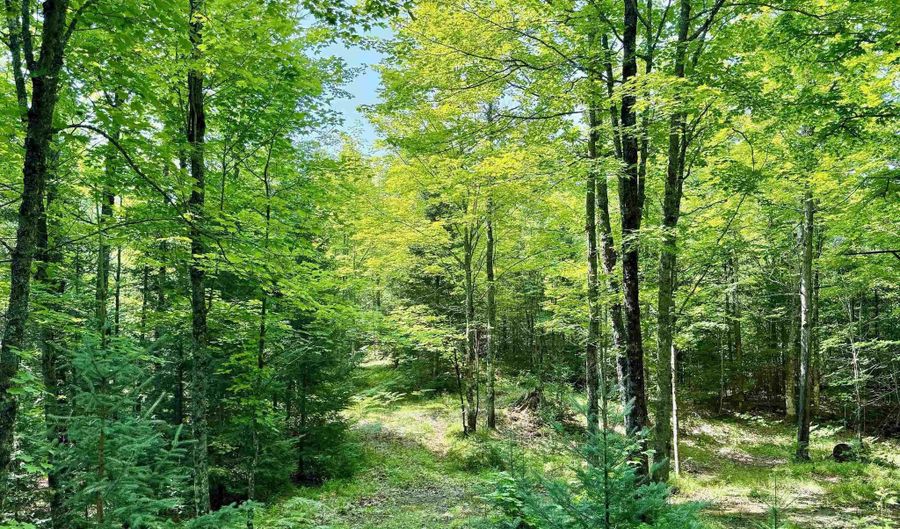 TBD Net River, Amasa, MI 49903 - 0 Beds, 0 Bath