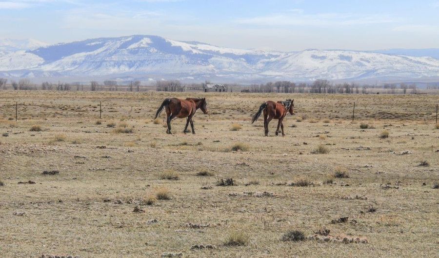 347 WILD HORSE Rnch, Laramie, WY 82070 - 0 Beds, 0 Bath