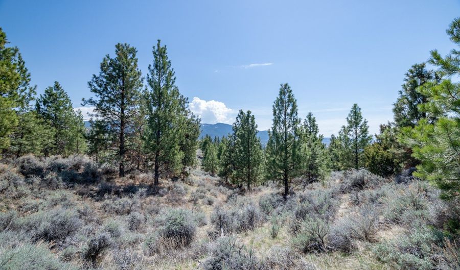 Tract 273 Sapphire Ranch Trail, Corvallis, MT 59828 - 0 Beds, 0 Bath