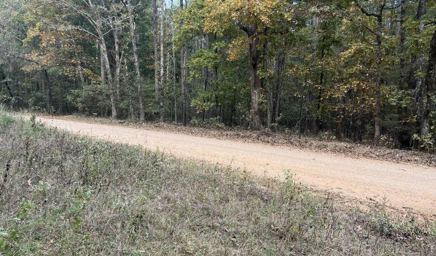 County Road 113 lot 3, Alton, MO 65606 - 0 Beds, 0 Bath