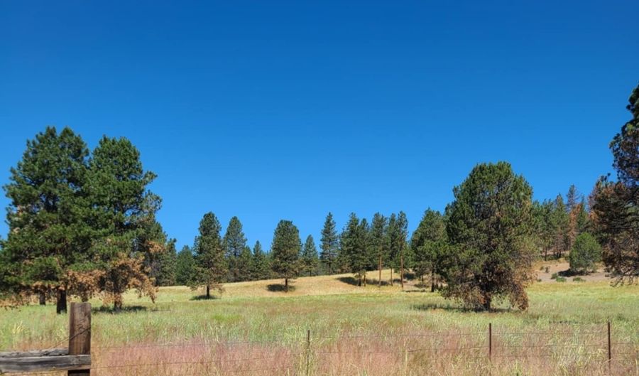 31747 Godowa Springs Rd, Beatty, OR 97621 - 0 Beds, 0 Bath