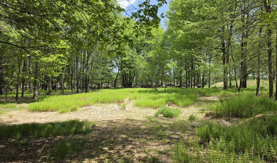Lang Way lot Ev661, Albrightsville, PA 18210 - 0 Beds, 0 Bath