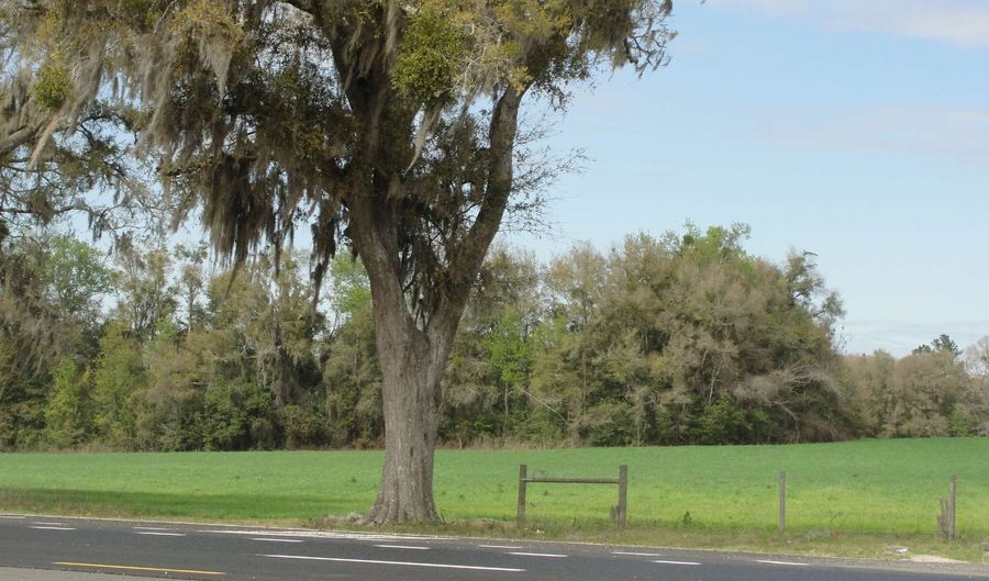 TBD HWY 441, Alachua, FL 32615 - 0 Beds, 0 Bath