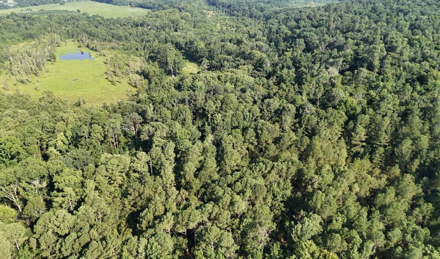 Swamp Road, Beech Island, SC 29842 - 0 Beds, 0 Bath