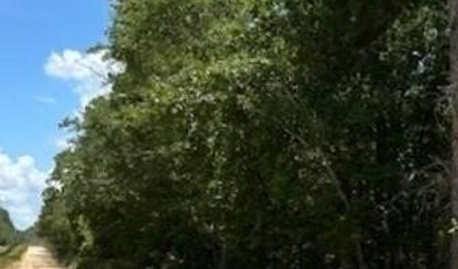 Tbd Watermelon Lane, Barnwell, SC 29812 - 0 Beds, 0 Bath