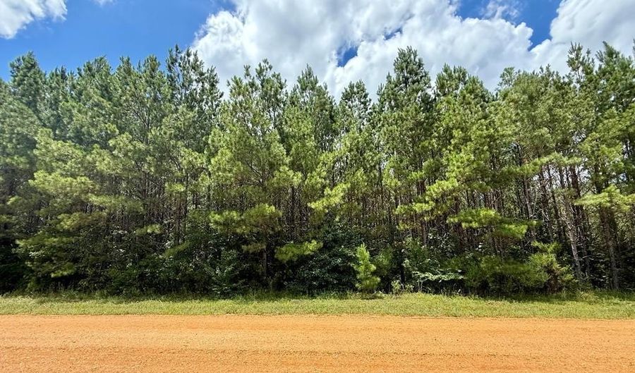 2316 Traci Loop, Bogue Chitto, MS 39629 - 0 Beds, 0 Bath