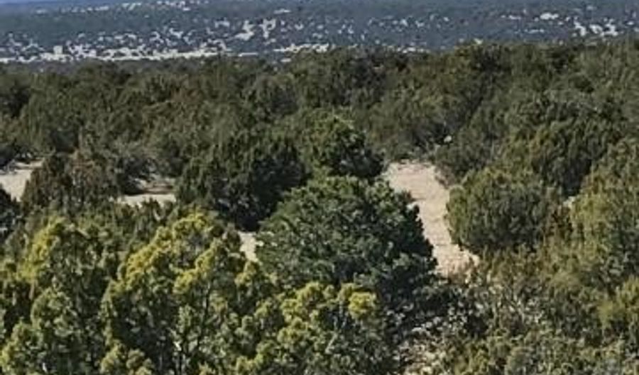 Lot 20 Idlewild Ranch 20, Concho, AZ 85924 - 0 Beds, 0 Bath