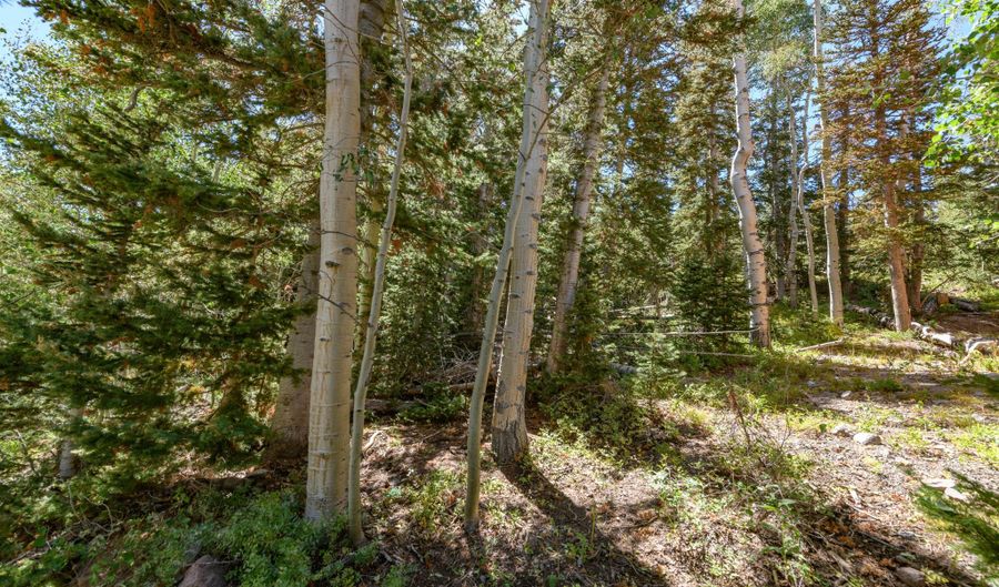 693 W Hunter Ridge Dr, Brian Head, UT 84719 - 0 Beds, 0 Bath