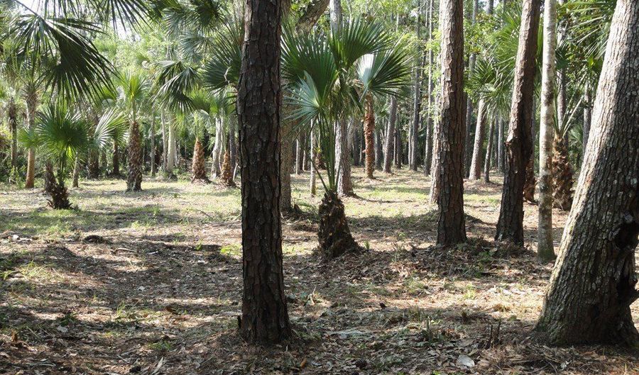 114 Melanie Ln, Apalachicola, FL 32320 - 0 Beds, 0 Bath