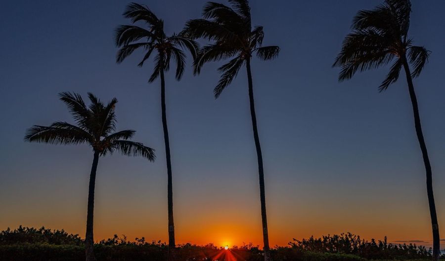 2124 AWIHI Pl 206, Kihei, HI 96753 - 1 Beds, 1 Bath