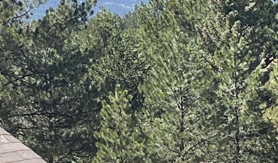 44 Mammoth Mountain Rd 18, Angel Fire, NM 87710 - 2 Beds, 2 Bath