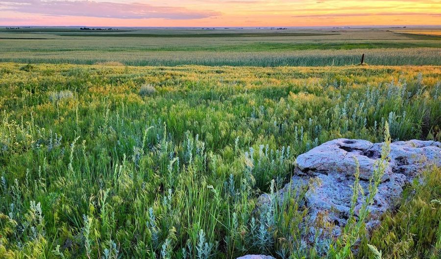 TBD County Road Y, Akron, CO 80720 - 0 Beds, 0 Bath