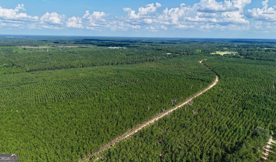 Penny Morris Road, Baxley, GA 31513 - 0 Beds, 0 Bath