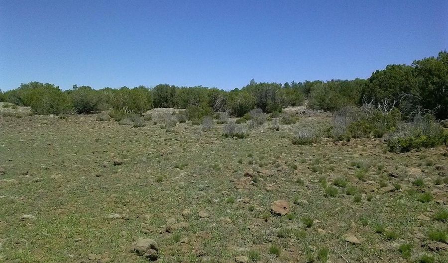 Tbd CR 8026, Concho, AZ 85924 - 0 Beds, 0 Bath