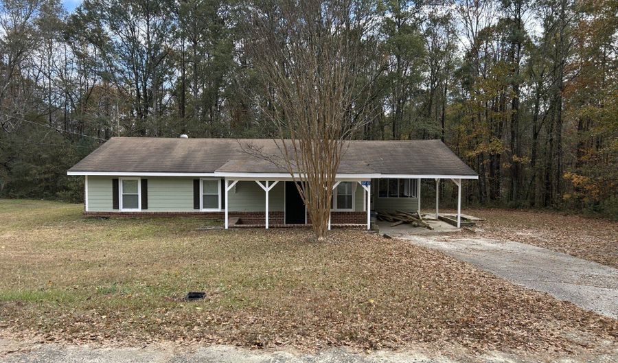 207 Mt Moriah Rd, Auburn, GA 30011 - 3 Beds, 2 Bath