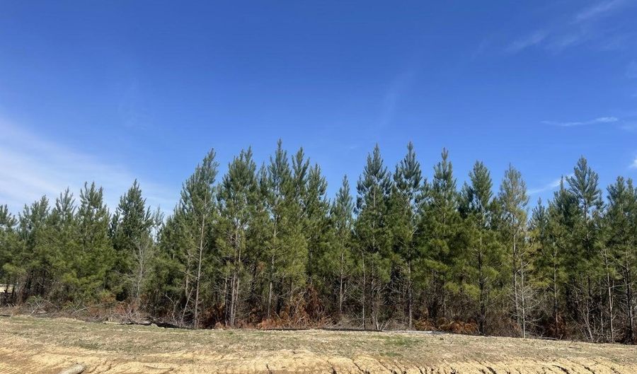 903 Old Glory Ln Lot 27, Brandon, MS 39047 - 0 Beds, 0 Bath