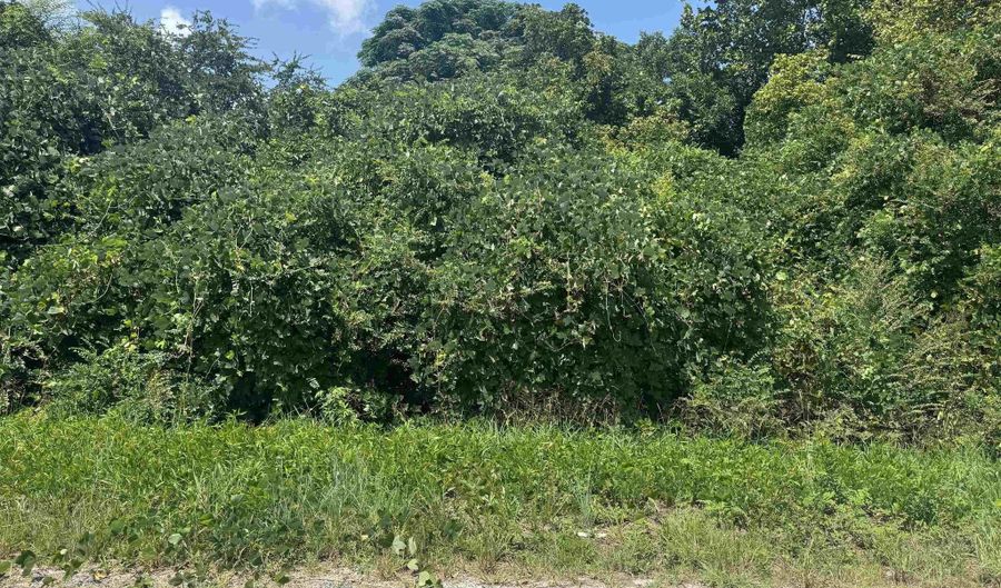 0 HIGHWAY 202, Anniston, AL 36201 - 0 Beds, 0 Bath