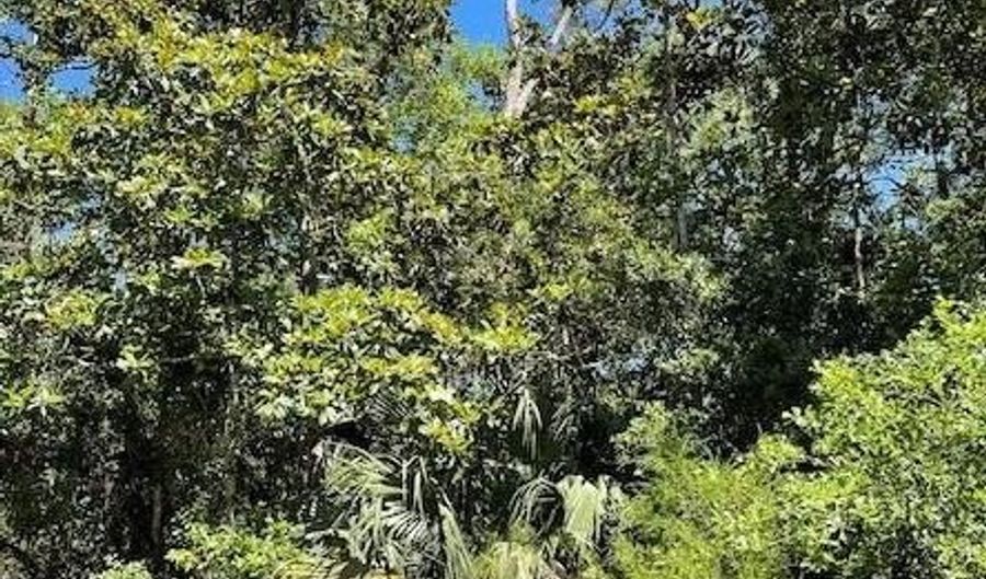 135 Water Oaks Way, Apalachicola, FL 32320 - 0 Beds, 0 Bath
