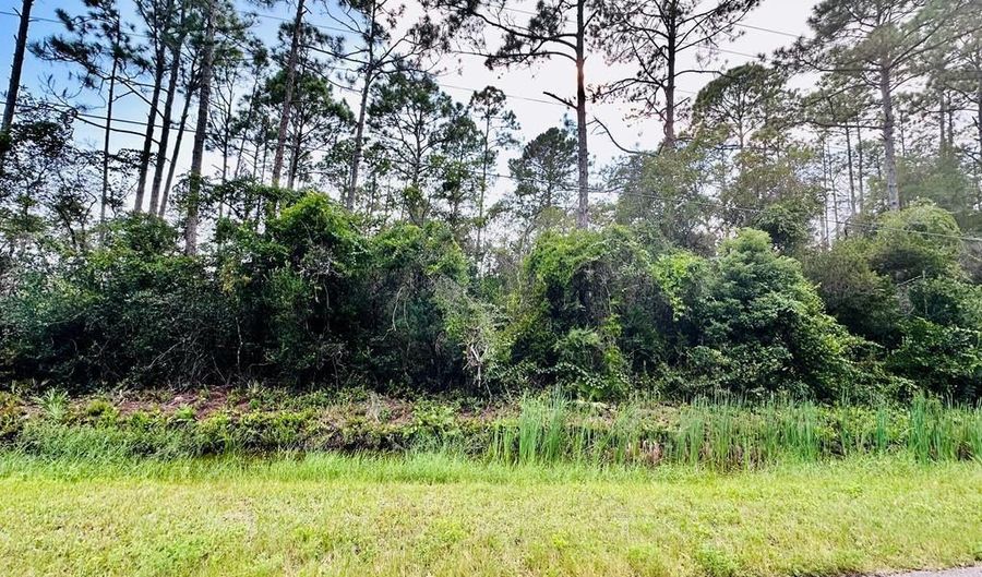 Peachtree Rd lot 56S, Apalachicola, FL 32320 - 0 Beds, 0 Bath