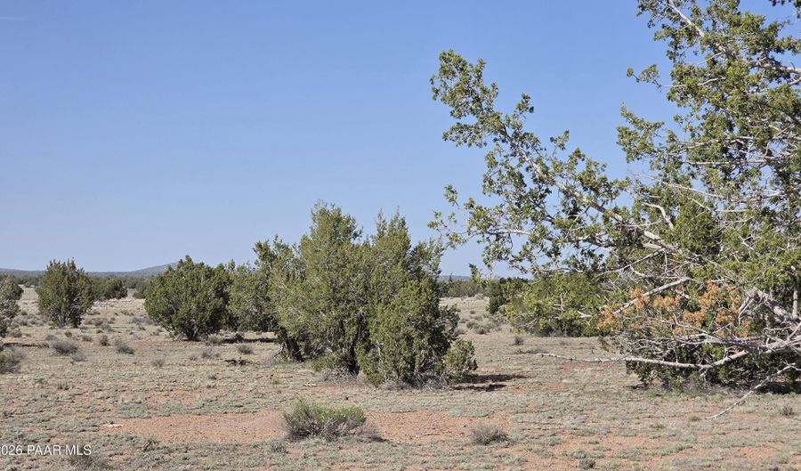 Ten Tanks Rd lot 6, Ash Fork, AZ 86320 - 0 Beds, 0 Bath