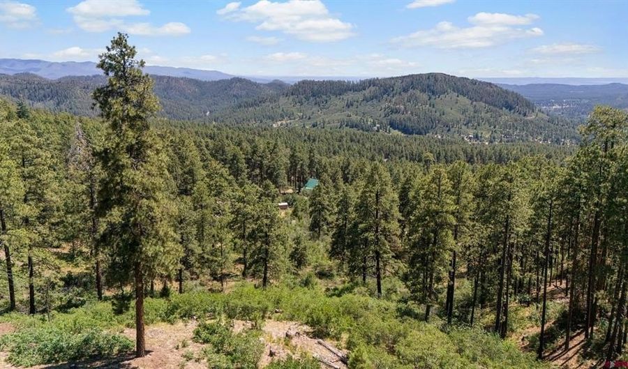 220 Hilltop Dr, Bayfield, CO 81122 - 0 Beds, 0 Bath