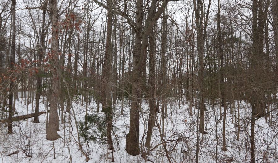 BEECH LANE PARCEL 27, Accokeek, MD 20607 - 0 Beds, 0 Bath