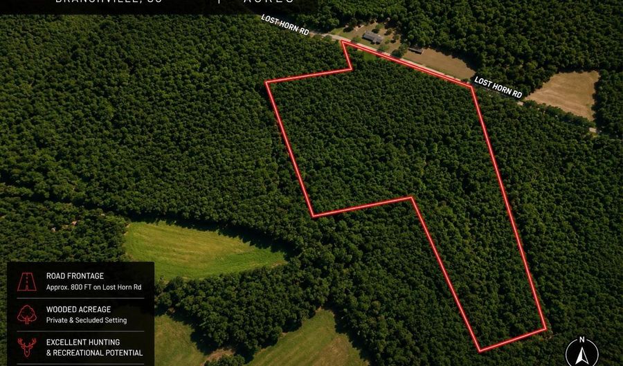 1 Lost Horn Rd, Branchville, SC 29432 - 0 Beds, 0 Bath