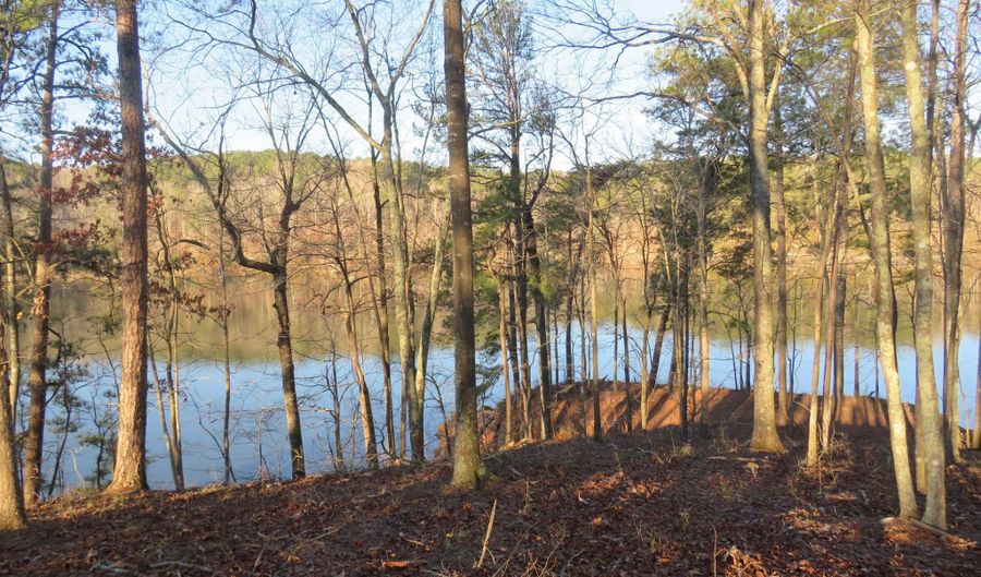 LOT # 4 ROCK RIDGE LANE, Arley, AL 35541 - 0 Beds, 0 Bath