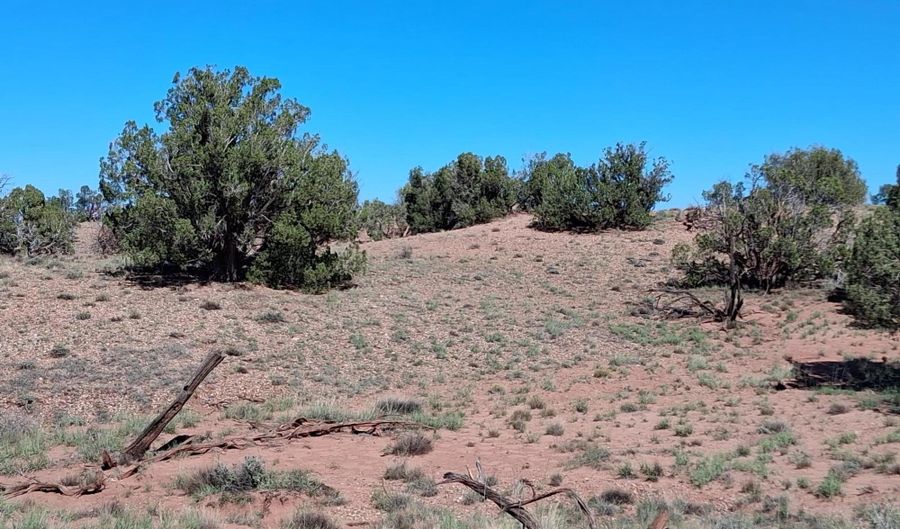 268 N 5380, Concho, AZ 85924 - 0 Beds, 0 Bath