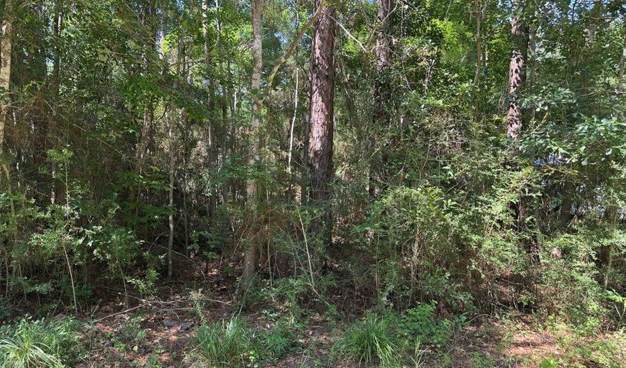 0 E Bolivar St, Bay St. Louis, MS 39520 - 0 Beds, 0 Bath