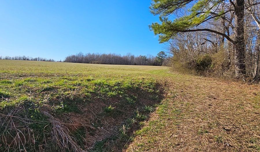 360 PATRICK HENRY HYWY Lot 2 & 3, Amelia Court House, VA 23002 - 0 Beds, 0 Bath