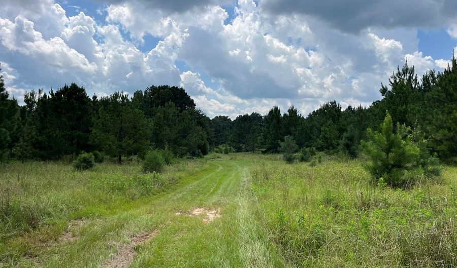 TBD County Road 40, Abbeville, AL 36310 - 0 Beds, 0 Bath