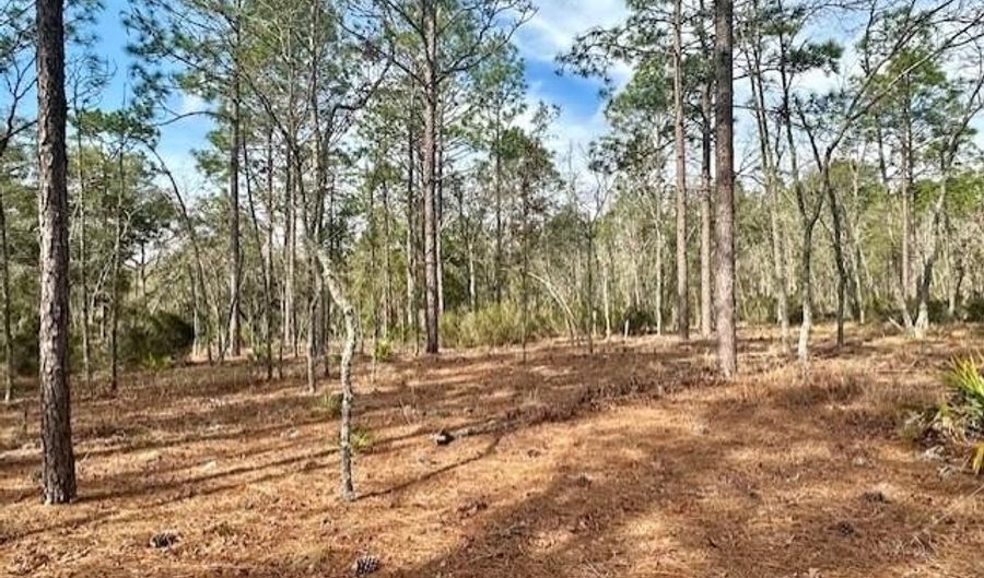 NW County Road 236, Bell, FL 32619 - 0 Beds, 0 Bath
