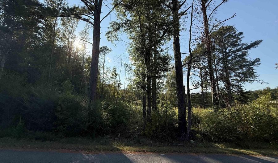 1 46 Acres 2nd Ave, Altoona, AL 35952 - 0 Beds, 0 Bath