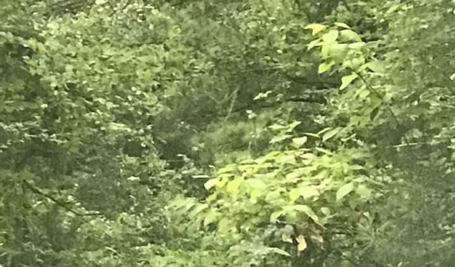 UNNAMED ROAD lot 6, Alpine, AL 35014 - 0 Beds, 0 Bath