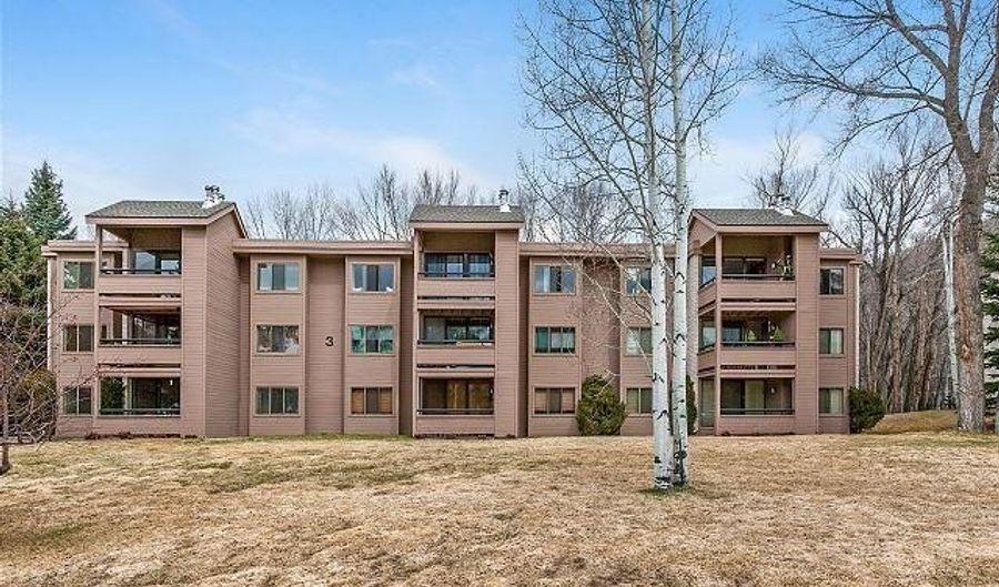 313 VINE St 313, Aspen, CO 81611 - 2 Beds, 2 Bath