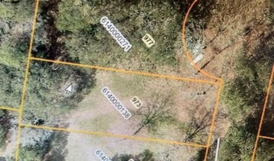 969 Bellas Ln, Awendaw, SC 29429 - 0 Beds, 0 Bath