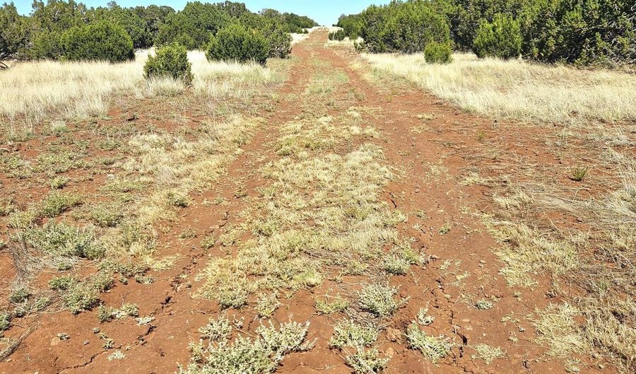 20 CO Rd, Concho, AZ 85924 - 0 Beds, 0 Bath