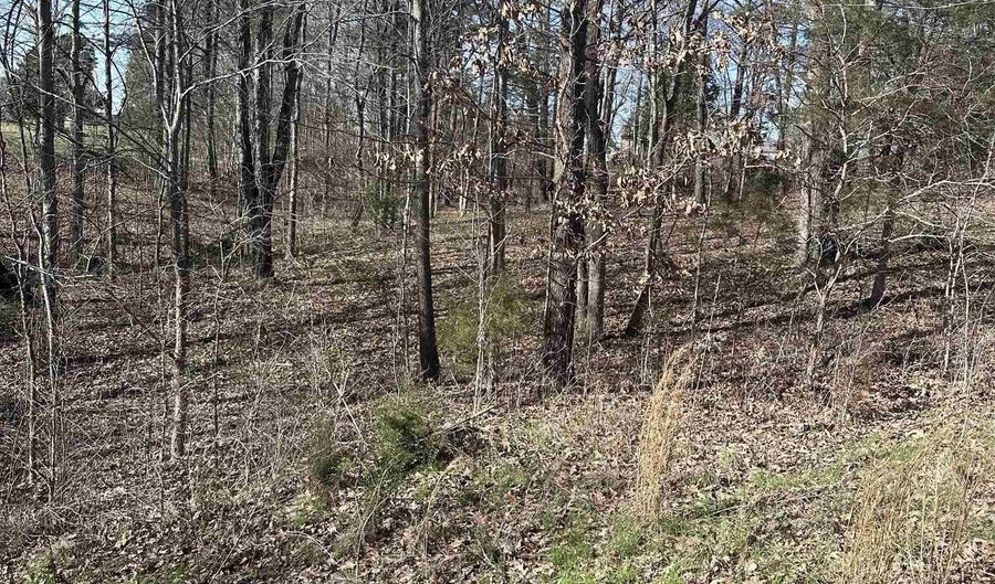 Lot 18 and 19 Sunshine Acres Rd 46-0A-00-018 and 46-0A-00-019, Benton, KY 42025 - 0 Beds, 0 Bath