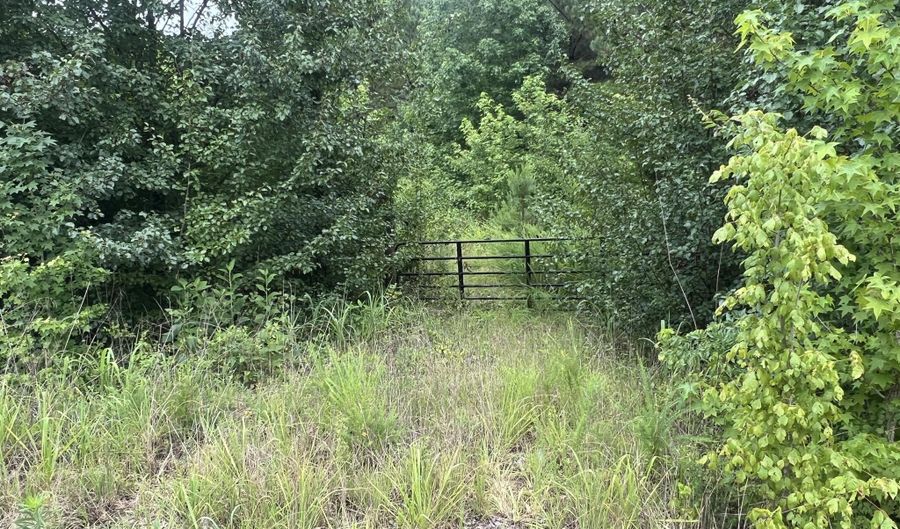 200 Bowman Loop Rd, Beech Bluff, TN 38313 - 0 Beds, 0 Bath