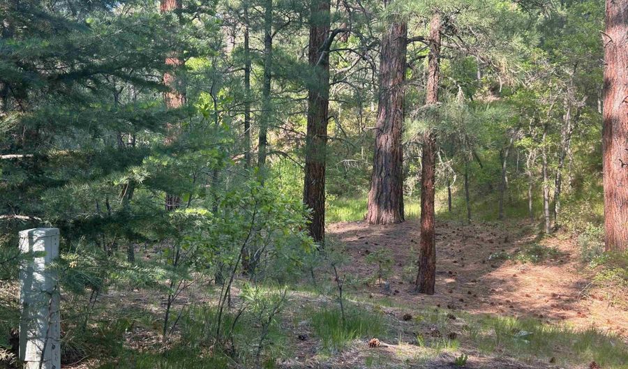 Tract B 266 Gallina Canyon Road, Valdez, NM 87580 - 0 Beds, 0 Bath